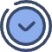 icono check